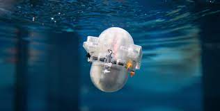 AI in Marine Biology: Exploring Ocean Life