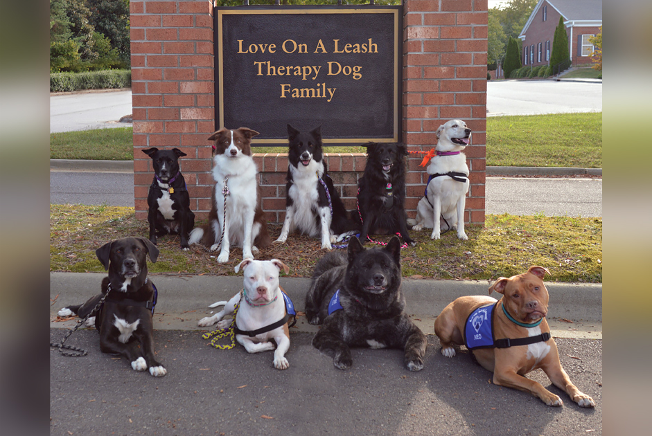 The Role of Consistency in Achieving Success with Dog Leash Therapy