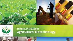 The Future of Biotechnology in Agriculture