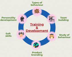 The Importance of Employee Training and Development