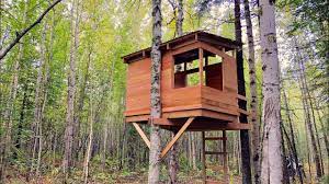 Building a Treehouse: A Fun DIY Project